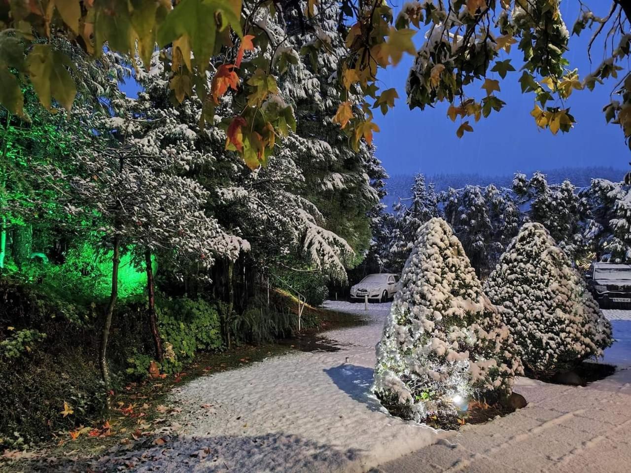 Park Hotel Amfora -Free Parking Vladaya Εξωτερικό φωτογραφία