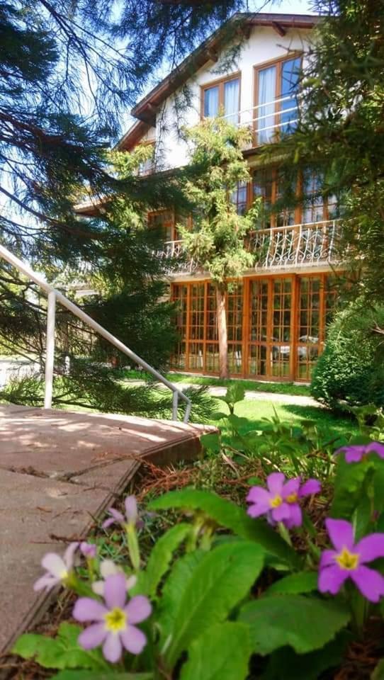 Park Hotel Amfora -Free Parking Vladaya Εξωτερικό φωτογραφία