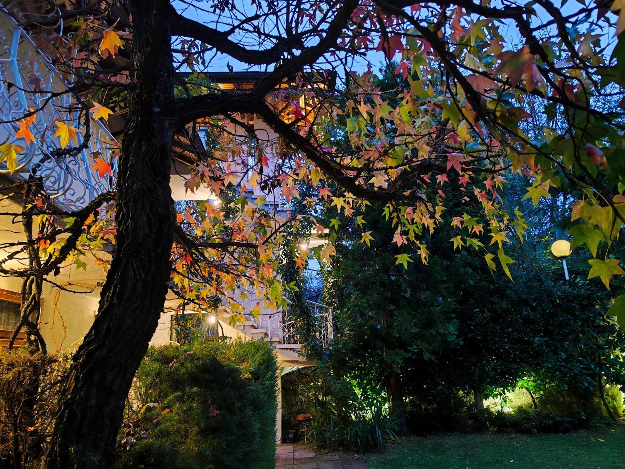 Park Hotel Amfora -Free Parking Vladaya Εξωτερικό φωτογραφία